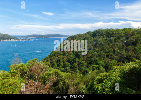 Vue de l'Ouest Chef Lookout, Ku-ring-gai Chase National Park, New South Wales, Australie Banque D'Images