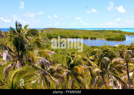 Isla Contoy sable dans froath mexico jour vague Banque D'Images