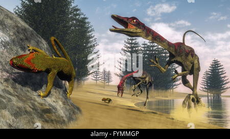 Dinosaures Compsognathus - 3D render Banque D'Images