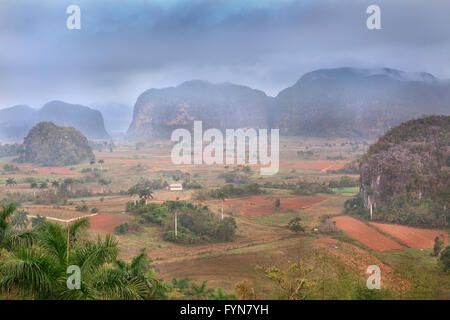 Vallée de Vinales à Cuba Banque D'Images