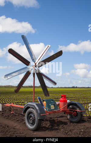 Scatterbird bird scarer de gaz sur les champs ensemencés à l'aide de systèmes de navigation par satellites pour la plantation et l'ensemencement à l'aide d'un semoir/semoir avec un tracteur. Les machines sur le terrain sont adaptés pour le grand les cultures en rangs et étroit-cultures en lignes et et entraîner des champs à motifs de l'utilisation de cette méthode de l'agriculture de précision (PA) de l'agriculture avec une gestion des cultures spécifiques au site (SSCM). Tarleton, Lancashire, UK Banque D'Images