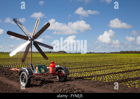 Scatterbird bird scarer de gaz sur les champs ensemencés à l'aide de systèmes de navigation par satellites pour la plantation et l'ensemencement à l'aide d'un semoir/semoir avec un tracteur. Les machines sur le terrain sont adaptés pour le grand les cultures en rangs et étroit-cultures en lignes et et entraîner des champs à motifs de l'utilisation de cette méthode de l'agriculture de précision (PA) de l'agriculture avec une gestion des cultures spécifiques au site (SSCM). Tarleton, Lancashire, UK Banque D'Images