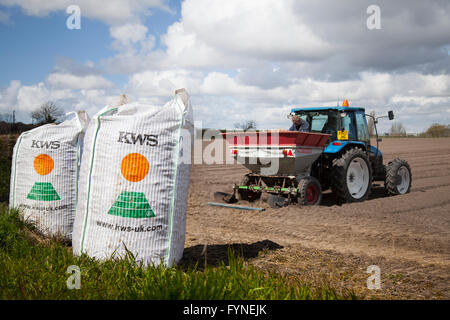 En utilisant les systèmes de navigation par satellite au cours de la plantation et l'ensemencement à l'aide d'un semoir/semoir avec un tracteur. Les machines sur le terrain sont adaptés pour le grand les cultures en rangs et étroit-cultures en lignes et et entraîner des champs à motifs de l'utilisation de cette méthode de l'agriculture de précision (PA) de l'agriculture avec une gestion des cultures spécifiques au site (SSCM). Tarleton, Lancashire, UK Banque D'Images