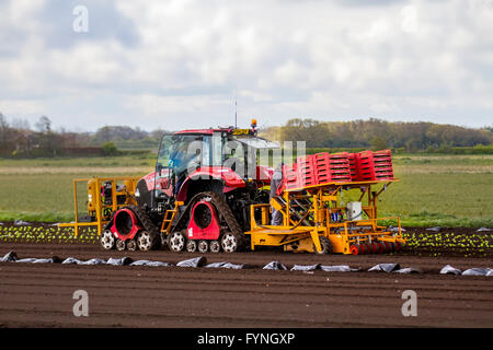 En utilisant les systèmes de navigation par satellite au cours de la plantation et l'ensemencement à l'aide d'un semoir/semoir avec un tracteur. Les machines sur le terrain sont adaptés pour le grand les cultures en rangs et étroit-cultures en lignes et et entraîner des champs à motifs de l'utilisation de cette méthode de l'agriculture de précision (PA) de l'agriculture avec une gestion des cultures spécifiques au site (SSCM). Tarleton, Lancashire, UK Banque D'Images