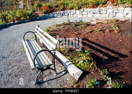 Banc dans le Washington Park Arboretum Banque D'Images