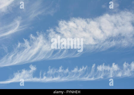 Les cirrus dans un ciel venteux Banque D'Images