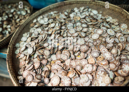 NYAUNG-U, le Myanmar - Tranches de noix de bétel à Nyaung-U marché, près de Bagan, Myanmar (Birmanie). Les écrous sont souvent placés dans des feuilles de bétel et mâchée. Le marché est également connu sous le nom de Mani Marché Sithu. Banque D'Images
