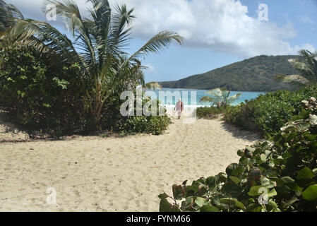 Une femme dans la distance de marche un chemin à une plage isolée. Prise à la populaire Flamenco Beach sur l'île de Culebra, Puerto Rico Banque D'Images