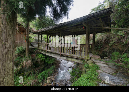 Trekker sous pont couvert traditionnel dans les rizières en terrasses de la région autonome du Guangxi, Dazhai, Chine Banque D'Images