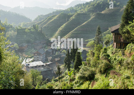 Village de Dazhai et rizières en terrasse dans la lumière du matin, région autonome du Guangxi, Chine Banque D'Images