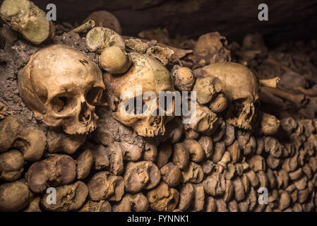 Les crânes et les os dans les catacombes de Paris Banque D'Images