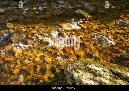 Sabbaday Falls dans la région de White Mountain National Forest Banque D'Images