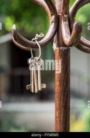 Ensemble d'anciennes clés sur un cintre en bois vintage dans le jardin Banque D'Images