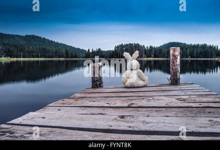 Fluffy toy bunny assis sur un quai. Rivage d'un lac de montagne Banque D'Images