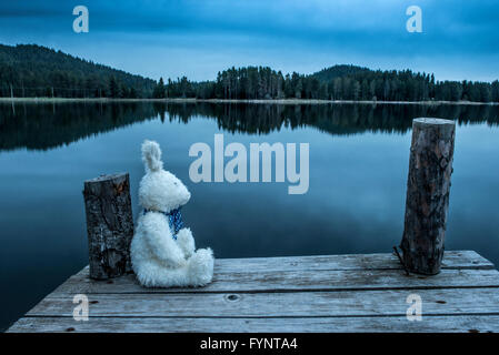 Fluffy toy bunny assis sur un quai. Rivage d'un lac de montagne Banque D'Images