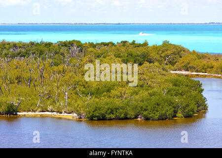 Isla Contoy au Mexique sable vague froath Banque D'Images