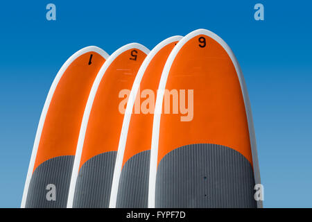 Quatre stand up paddle boards isolés contre ciel bleu Banque D'Images