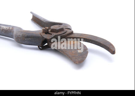 Ancien sécateur rouillé. Banque D'Images