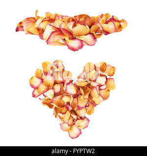 Tas de pétales de rose comme une composition romantique sur fond blanc Banque D'Images