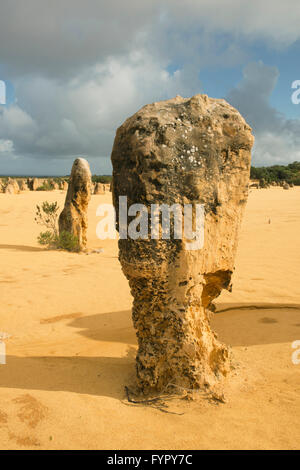 Le Parc National de Nambung, Pinnacles, Australie occidentale Banque D'Images