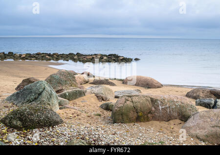 Plage de rochers sur le golfe de Finlande. L'Estonie Banque D'Images