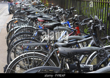 Les vélos pour étudiants stationné dans l'Est de la Madeleine, Rue Oxford, Angleterre. Banque D'Images