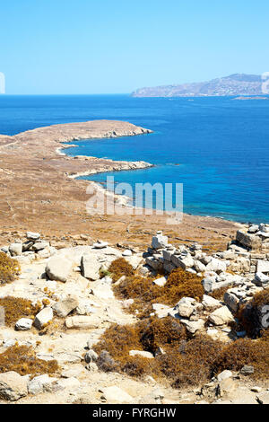 Bush à Délos Grèce historycal acropole et vieille ruine Banque D'Images