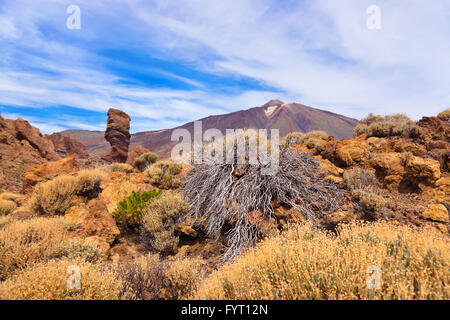 Doigt de Dieu rock au volcan Teide à Tenerife - Canary Island Banque D'Images