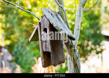 Old Wooden birdhouse Banque D'Images