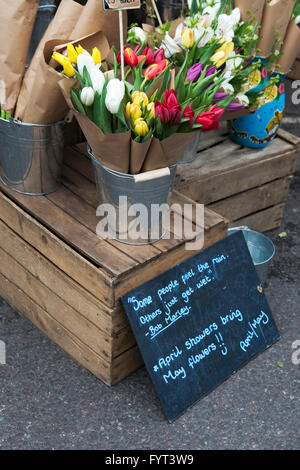 Londres, Royaume-Uni - 27 mars 2016 : fleurs à Colambia marché aux fleurs. Le marché dispose de plus de 200 places), la vente de plantes en pots, rose ... Banque D'Images