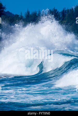 Vagues puissantes pause à Lumahai Beach, Kauai Banque D'Images