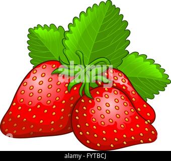 L'icône de fraises dans son ensemble et la moitié. Vector illustration Illustration de Vecteur