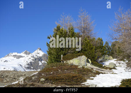 Alpes en Suisse Banque D'Images