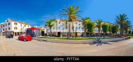 Sur l'île de Pag Novalja waterfront palm Banque D'Images