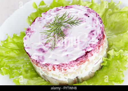 Salade 'Hareng sous un manteau de fourrure'sur une plaque blanche Banque D'Images