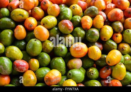 Pile de jocote fruits dans un marché du frais à San Jose, Costa Rica Banque D'Images