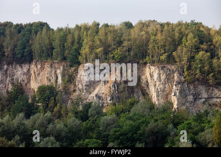 La ville de Cracovie, Pologne, Liban abandonné avec falaise de calcaire jurassique Carrière Banque D'Images