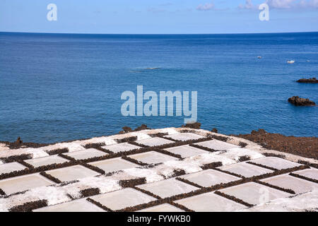 Dans le sel Canry islands Banque D'Images