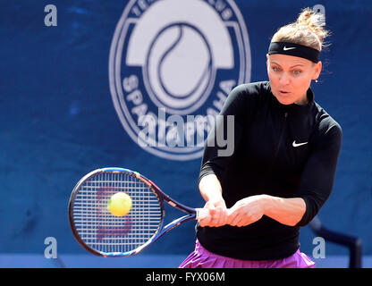 Prague, République tchèque. Apr 28, 2016. Le joueur de tennis tchèque Lucie Safarova en action pendant la match de tennis Open de Prague à Prague, République tchèque, le 28 avril 2016. Photo : CTK/Vondrous Romain Photo/Alamy Live News Banque D'Images