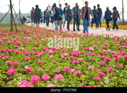 Tangshan, Province de Hebei en Chine. Apr 29, 2016. Personnes visitent l'exposition horticole mondiale Tangshan Tangshan en 2016, ville du nord de la Chine, la Province du Hebei, le 29 avril 2016. L'exposition horticole mondiale Tangshan 2016 ouvert ici le vendredi et durera 171 jours. Credit : Zhu Xudong/Xinhua/Alamy Live News Banque D'Images