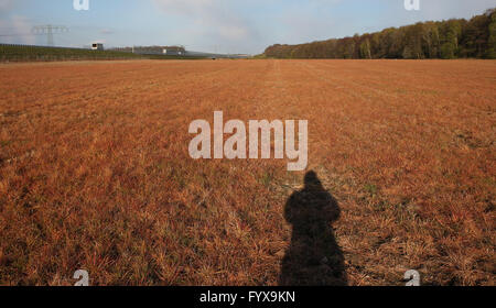 Leipzig, Allemagne. Apr 28, 2016. Un pré traités avec l'herbicide Glyphosat, au sud de Leipzig, Allemagne, 28 avril 2016. PHOTO SEBASTIAN WILLNOW/dpa/Alamy Live News Banque D'Images