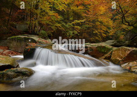 Mumlava Cascade, Mumlavsky vodopad, Harrachov, Monts des Géants, République tchèque / Karkonosze Banque D'Images