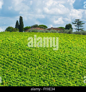 Agritourisme en Toscane Banque D'Images