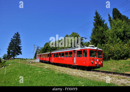 Vitznau Rigi Railway, train à crémaillère, le train à crémaillère, Rigi, Canton de Schwyz, Suisse Banque D'Images