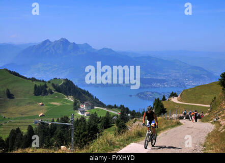 Vue du Rigi peak, le lac de Lucerne, le Mont Pilatus, vélo de montagne, Suisse / Floralpina, Vierwaldstättersee, Lac des Quatre Cantons boisés Banque D'Images