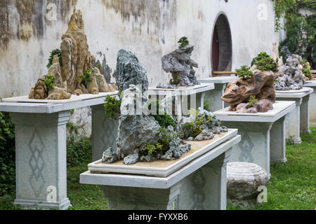 Bonsai arbres dans le jardin classique dans la région de Suzhou, Chine Banque D'Images