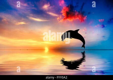 Bel océan et le coucher du soleil, dolphin jumping Banque D'Images