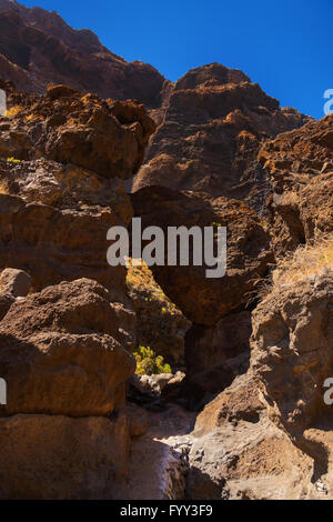 Célèbre canyon Masca à Tenerife - Canary Banque D'Images