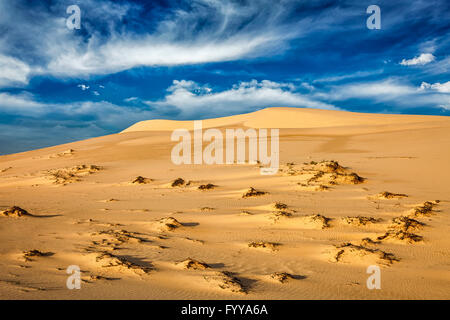 Lever du soleil sur les dunes de sable du désert Banque D'Images