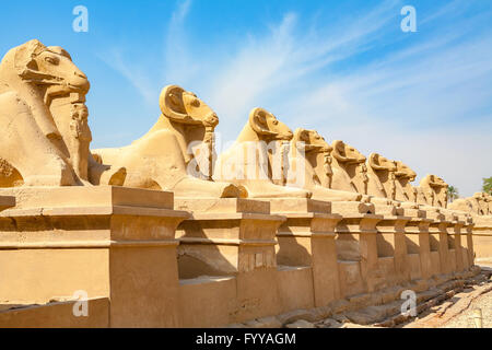 L'Avenue des sphinx à tête de bélier. Temple de Karnak. Louxor, Egypte Banque D'Images